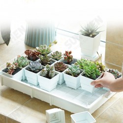 PP Plant Tray Succulents Seedling Drain Balcony Growing Holder Nursery Garden Decorations PP Plant Tray Succulents Seedling Drain Balcony Growing Holder Nursery Garden Decorations