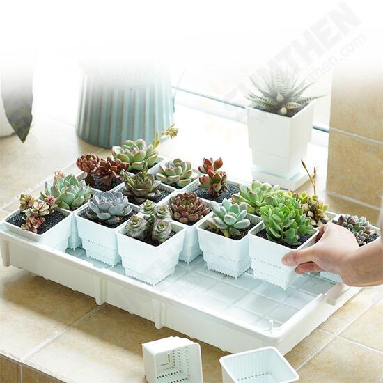 PP Plant Tray Succulents Seedling Drain Balcony Growing Holder Nursery Garden Decorations