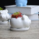 Rabbit Ceramic Flower Pot Planter Outdoor Indoor Decoration with Round Tray