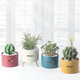 Succulent Ceramic Flower Pot Selected Porcelain Clay Glaze Anti-slip Straight Holeless Flower Pot