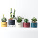 Succulent Ceramic Flower Pot Selected Porcelain Clay Glaze Anti-slip Straight Holeless Flower Pot