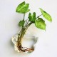 Wall-mounted Flower Shaped Glass Flower Vase Home Garden Wedding Party Decoration