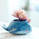 Whale Planter Resin Potted Plants Succulent Cactus Flower Pot Craft Ornaments