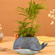 Whale Planter Resin Potted Plants Succulent Cactus Flower Pot Craft Ornaments