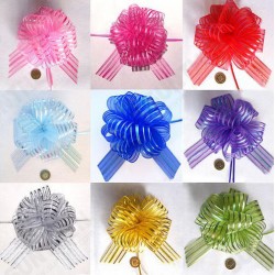 50mm Organaza Ribbon Wedding Party Ribbons Pull Bows Gift Wrap Decoration 50mm Organaza Ribbon Wedding Party Ribbons Pull Bows Gift Wrap Decoration
