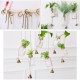 Hanging Clear Glass Flower Plant Hydroponic System Vase Terrarium Container Home Garden