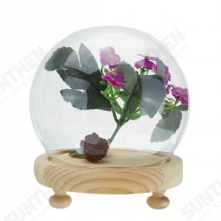 Round Decorative Transparent Glass Dome with Wooden Base Cloche Bell Jar Round Decorative Transparent Glass Dome with Wooden Base Cloche Bell Jar