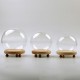 Round Decorative Transparent Glass Dome with Wooden Base Cloche Bell Jar