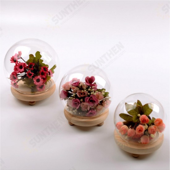 Round Decorative Transparent Glass Dome with Wooden Base Cloche Bell Jar