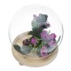 Round Decorative Transparent Glass Dome with Wooden Base Cloche Bell Jar
