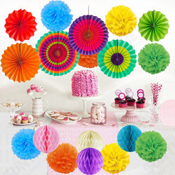 19Pcs Tissue Paper Pom Poms Flower Balls Pompom For Wedding Party Home Baby Shower Decorations 19Pcs Tissue Paper Pom Poms Flower Balls Pompom For Wedding Party Home Baby Shower Decorations