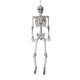 90cm Human Skeleton Scary Bones Poseable Hanging Halloween Prop Party Decorations