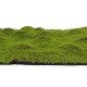 Artificial Moss Grass Synthetic Mat Landscape Lawn Pet Dog Turf Garden Yard Floor Mat