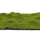 Artificial Moss Grass Synthetic Mat Landscape Lawn Pet Dog Turf Garden Yard Floor Mat