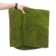 Artificial Moss Grass Synthetic Mat Landscape Lawn Pet Dog Turf Garden Yard Floor Mat