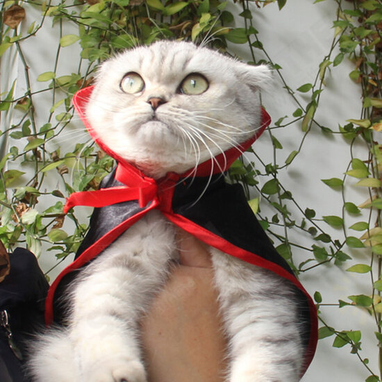 Halloween Costume Pet Cat Small Dog Vampire Hat Cape Cloak Halloween Cosplay Fancy Dress Costume for Pet Decor