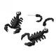 Halloween Earring Creative Scorpion Earrings Lightweight For Hallowen Party Decoration