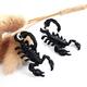 Halloween Earring Creative Scorpion Earrings Lightweight For Hallowen Party Decoration