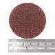 25pcs 24 Grit 2 Inch R-Type Abrasive Sanding Discs Roll Lock Sanding Pads 25pcs 24 Grit 2 Inch R-Type Abrasive Sanding Discs Roll Lock Sanding Pads
