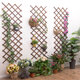 Carbonized Antiseptic Wooden Fence Plant Climb Trellis Support Decorations Garden Carbonized Antiseptic Wooden Fence Plant Climb Trellis Support Decorations Garden