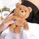 Teddy Bear Pattern Plush Shockproof Earphone Storage Case Sleeve for Apple Airpods 1 / 2 / 3 Airpods Pro Teddy Bear Pattern Plush Shockproof Earphone Storage Case Sleeve for Apple Airpods 1 / 2 / 3 Airpods Pro