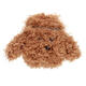 Teddy Dog Earphone Case Cute Protectiver Bag Storage Cover for Airpods