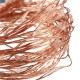 10M 100 LED Warm White String Fairy Light DC12V Waterproof Copper Wire Christmas