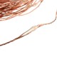 10M 100 LED Warm White String Fairy Light DC12V Waterproof Copper Wire Christmas
