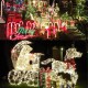 10M 100LED Fairy String Christmas Light Outdoor Waterproof Wedding Holiday Party Lamp US Plug 110V 10M 100LED Fairy String Christmas Light Outdoor Waterproof Wedding Holiday Party Lamp US Plug 110V