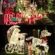 10M 100LED Fairy String Christmas Light Outdoor Waterproof Wedding Holiday Party Lamp US Plug 110V