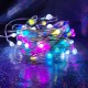 10M 33FT Built-in IC Individual Control USB RGB LED String Light + 12 Modes Remote Control for Christmas Home Party