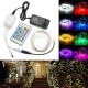 12V 10M 100LED Silver Wire Christmas String Fairy Light Remote Controller with Adapter