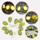 1.5M 3M 4.5M Cracked Egg LED String Light Battery Supply Easter Christmas Holiday Decorative Indoor Lighting