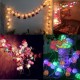 2.2M 20LED Rattan Christmas Wedding Ball String Lamp Fairy Lights