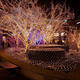 2M*3M 3M*3M Waterproof Mesh Net LED Fairy String Light For Wedding Christmas EU Plug 2M*3M 3M*3M Waterproof Mesh Net LED Fairy String Light For Wedding Christmas EU Plug