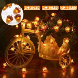 2M/3M/4M LED Acorn String Light 8 Modes Waterproof Christmas Party Decorative Lamp with Remote Control 2M/3M/4M LED Acorn String Light 8 Modes Waterproof Christmas Party Decorative Lamp with Remote Control