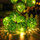 Green9 