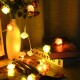 3M 6M LED Artificia Rose Flower Fairy String Light Home Party Wedding Holiday Christmas Decor Lamp AC110V/220V