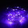 Purple2 