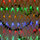 Multicolor1 
