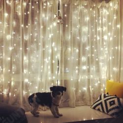 3x10M 1000LED Curtain String Light Waterproof Fairy Light Christmas Wedding Festival Decor AU Plug 220V 3x10M 1000LED Curtain String Light Waterproof Fairy Light Christmas Wedding Festival Decor AU Plug 220V