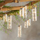 3x3M Waterproof USB 300LED Window Curtain String Light 8 Modes Outdoor Fairy Lamp Home Decor with Hook 3x3M Waterproof USB 300LED Window Curtain String Light 8 Modes Outdoor Fairy Lamp Home Decor with Hook