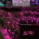 3x3m Waterproof LED Curtain Fairy String Light Wedding Party Outdoor Decoration EU Plug AC220V 3x3m Waterproof LED Curtain Fairy String Light Wedding Party Outdoor Decoration EU Plug AC220V