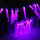 Purple2 