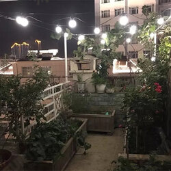 5M 10M Festive Lights Indoor Outdoor Festoon Bulb LED String Party Decor Light EU Plug 5M 10M Festive Lights Indoor Outdoor Festoon Bulb LED String Party Decor Light EU Plug