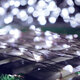 5M 50 LED String Lights Fairy Night Ornament Decor Holiday Christmas Wedding 5M 50 LED String Lights Fairy Night Ornament Decor Holiday Christmas Wedding