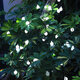 6.5M 30LED Ball String Light Outdoor Christmas Garden Party Wedding Decor Waterproof+Remote Control 6.5M 30LED Ball String Light Outdoor Christmas Garden Party Wedding Decor Waterproof+Remote Control
