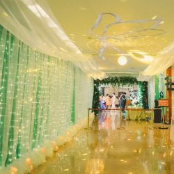9.8x9.8FT 300LEDs Curtain Fairy Strip Wedding Party Home Decor Warm/White Light 9.8x9.8FT 300LEDs Curtain Fairy Strip Wedding Party Home Decor Warm/White Light