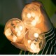 AC220V 3M Glass Ball LED String Light for Outdoor Christmas Home Decor EU Plug