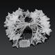 Battery Operated 6M Warm White Colorful 40 LED Star Photo Clips String Light Christmas Wedding Decor Battery Operated 6M Warm White Colorful 40 LED Star Photo Clips String Light Christmas Wedding Decor